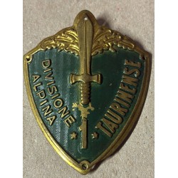 Alpine TAURINENSE 1st Division Shield with wide border Arabic numeral