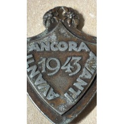 Rare badge of the 1st ALPINE DIVISION "TAURINENSE" 4th Regiment - ALPINE BATTALION "INTRA" 37th "NOBILE" COMPANY