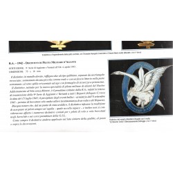 Distintivo Aliantisti d Assalto Regia Aereonautica 1943/1945