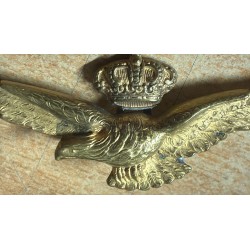 Pilotenlizenz der italienischen Königlichen Luftwaffe 1923/1930