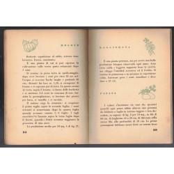 „Der Familiengarten“. 2. Auflage. Text von Cesare Alimenti. Komitee für ländliche Presse