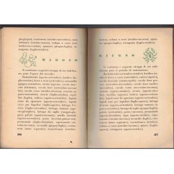 "The Family Garden". 2nd Edition
Text by Cesare Alimenti. Rural Press Committee.