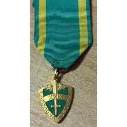 Border Guard Pendant Medal XXIX Zone