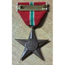 Partisan Bronze Medal Star of Merit Garibaldi Brigades