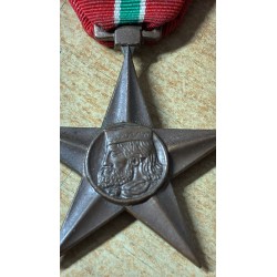 Partisanen-Bronzemedaille, Stern der Verdienste, Garibaldi-Brigaden