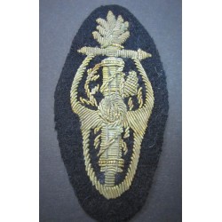 Scudetto da manica...