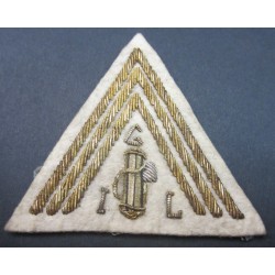 Scudetto di grado da manica...