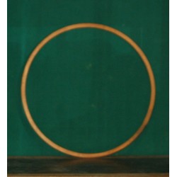 Gioventu Italiana del...