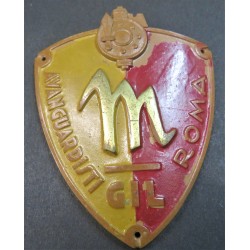 Scudetto da braccio...