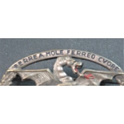 Tanker crews badge of the Italian Royal Army, lightened model, rare