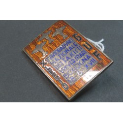 Distintivo 1° Avioraduno Nazionale Fascisti Universitari Bologna  Anno XVII Era Fascista raro !!