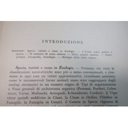 Libro RAZZE UMANE Estinte e Viventi 2a edizione Sansoni edizioni