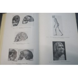 Libro RAZZE UMANE Estinte e Viventi 2a edizione Sansoni edizioni