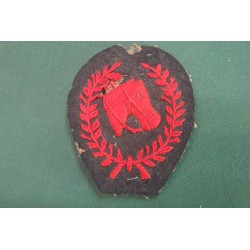 Fregio di specialita Cavaliere Scelto periodo Umberto I°