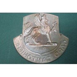 Splendido scudetto da braccio CAPO CANTONIERE