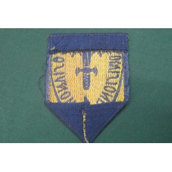 Scudetto da braccio da truppa 4a Divisione Fanteria MONVISO