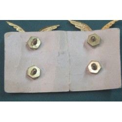 Coppia di fregi da controspallina Milizia Forestale