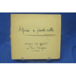 Libro Alpini a Fondo valle...