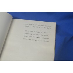 Libro L 11° Reggimento Artiglieria d.f. nel Corpo Italiano di Liberazione