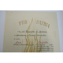 Attestato PRO PATRIA Ho Donato Oro alla Patria 1936