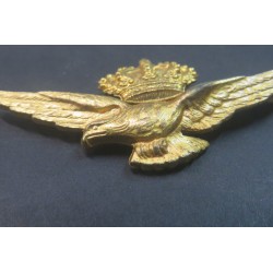 Splendid italian pilot wings  from Regia Aereonautica from the 1920s