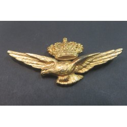 Splendid italian pilot wings  from Regia Aereonautica from the 1920s