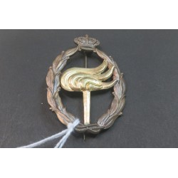 Italian Royal Air Force  Observation Specialty badge gold grade