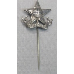 Pin badge for a Veteran of the Campaigns of 1848