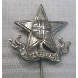 Pin badge for a Veteran of the Campaigns of 1848