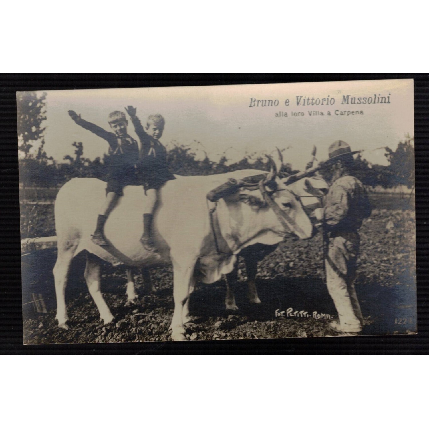 Cartolina di propaganda fascista i figli del Duce benito Mussolini Bruno e Vittorio