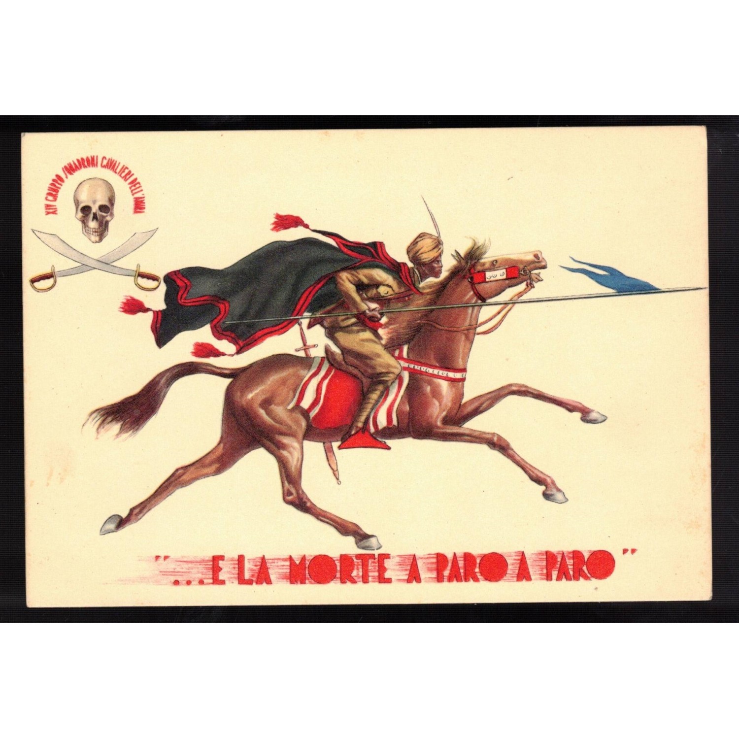 Rare postcard XIV Colonial Cavalry Squadron Group Amara Knights