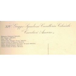 Rare postcard XIV Colonial Cavalry Squadron Group Amara Knights