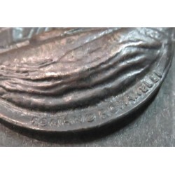 Medaglia Regia Nave Andrea Doria