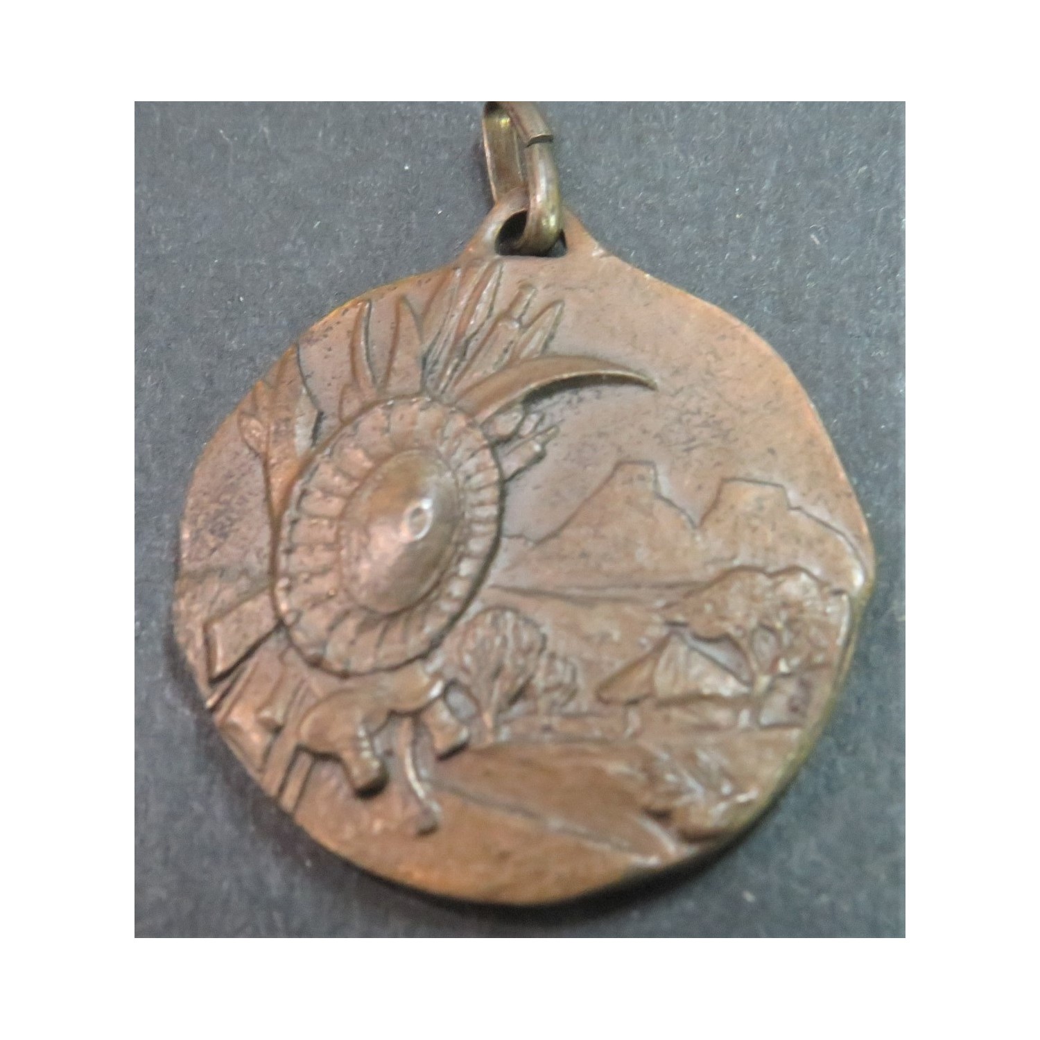 Bellissima medaglia coloniale in bronzo  XIIa Brigata Coloniale