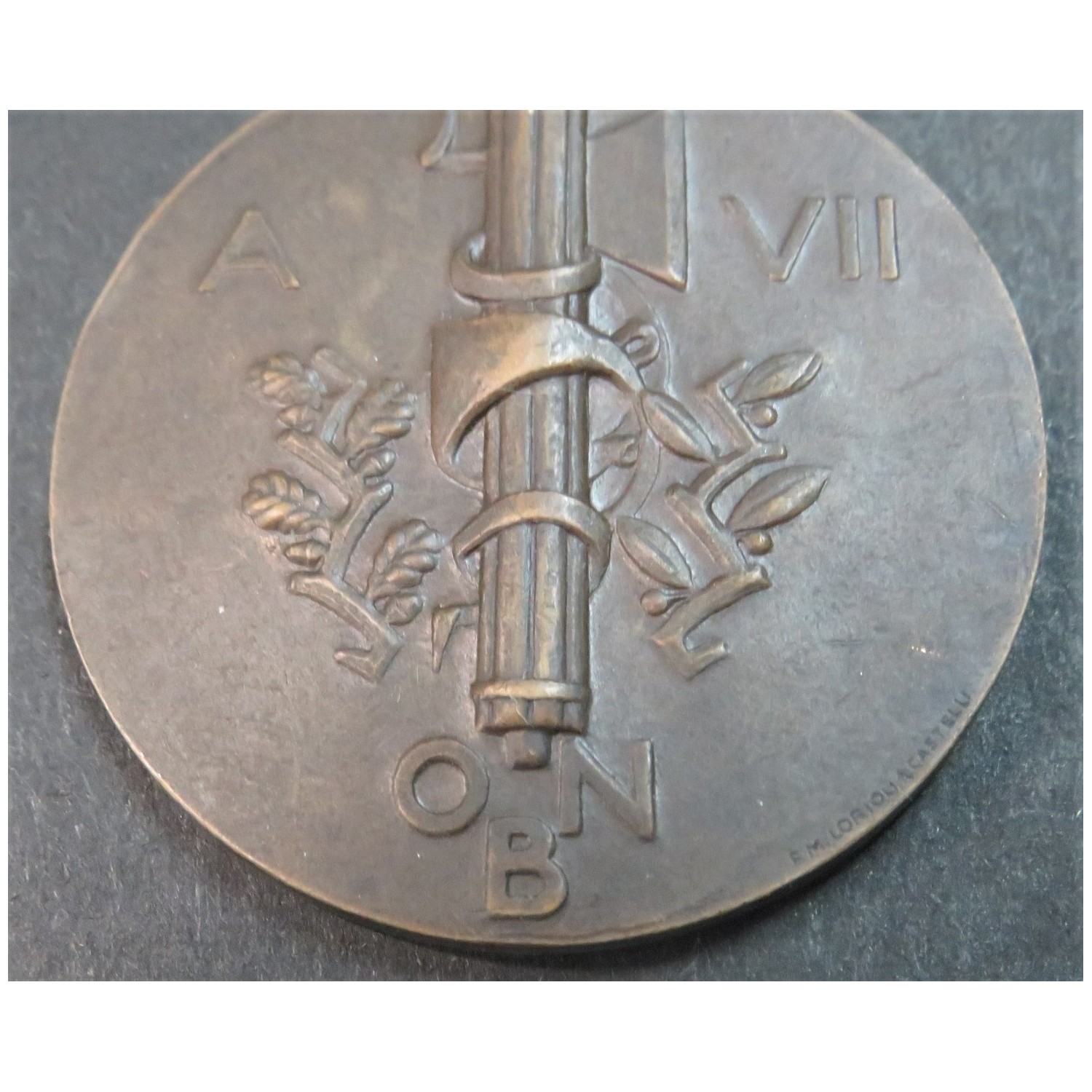 Splendida medaglia non portativa Opera Nazionale Balilla