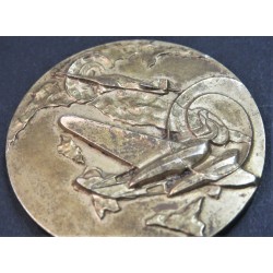 Extremely rare non-portative medal, Viscardi Ivo, Aeronautical Pioneer