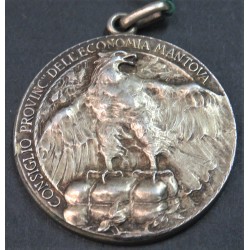 Beautiful large format medal Consorzio Provinciale dell Economia Mantova, 40 mm