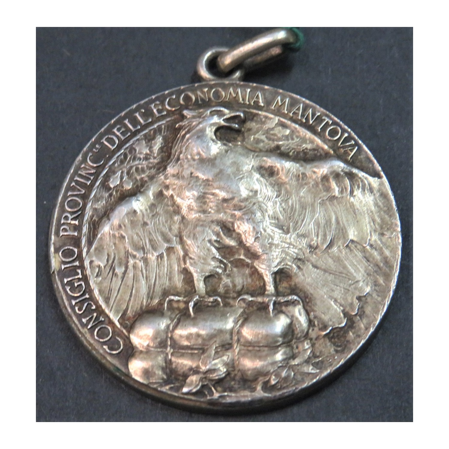 Beautiful large format medal Consorzio Provinciale dell Economia Mantova, 40 mm