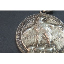 Beautiful large format medal Consorzio Provinciale dell Economia Mantova, 40 mm
