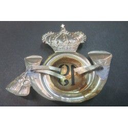 Hat fur front badge from officer 19th Cavalleggeri Guide Regiment (19th)