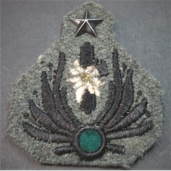 Italian fascist border militia officer hat front badge, combat model