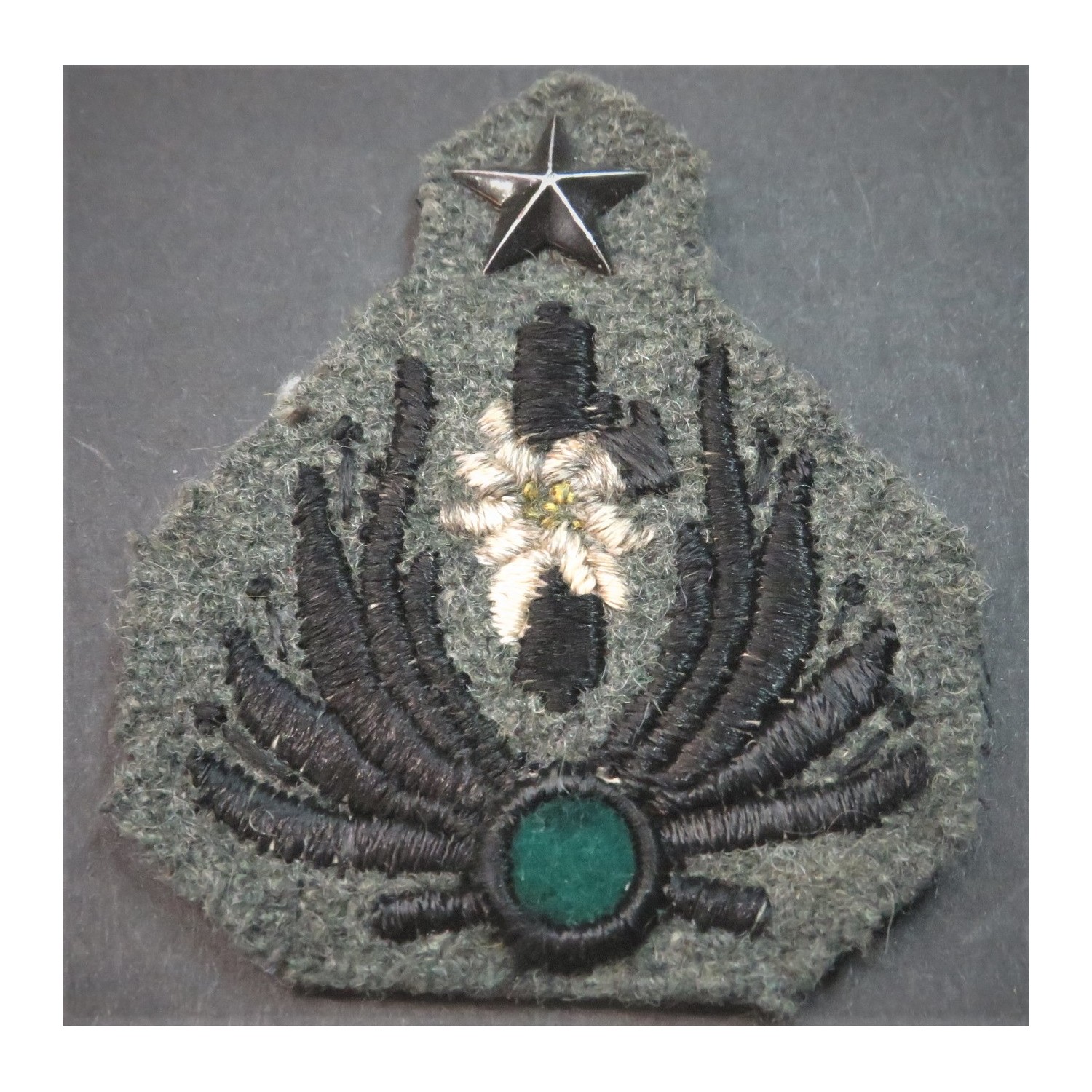 Italian fascist border militia officer hat front badge, combat model