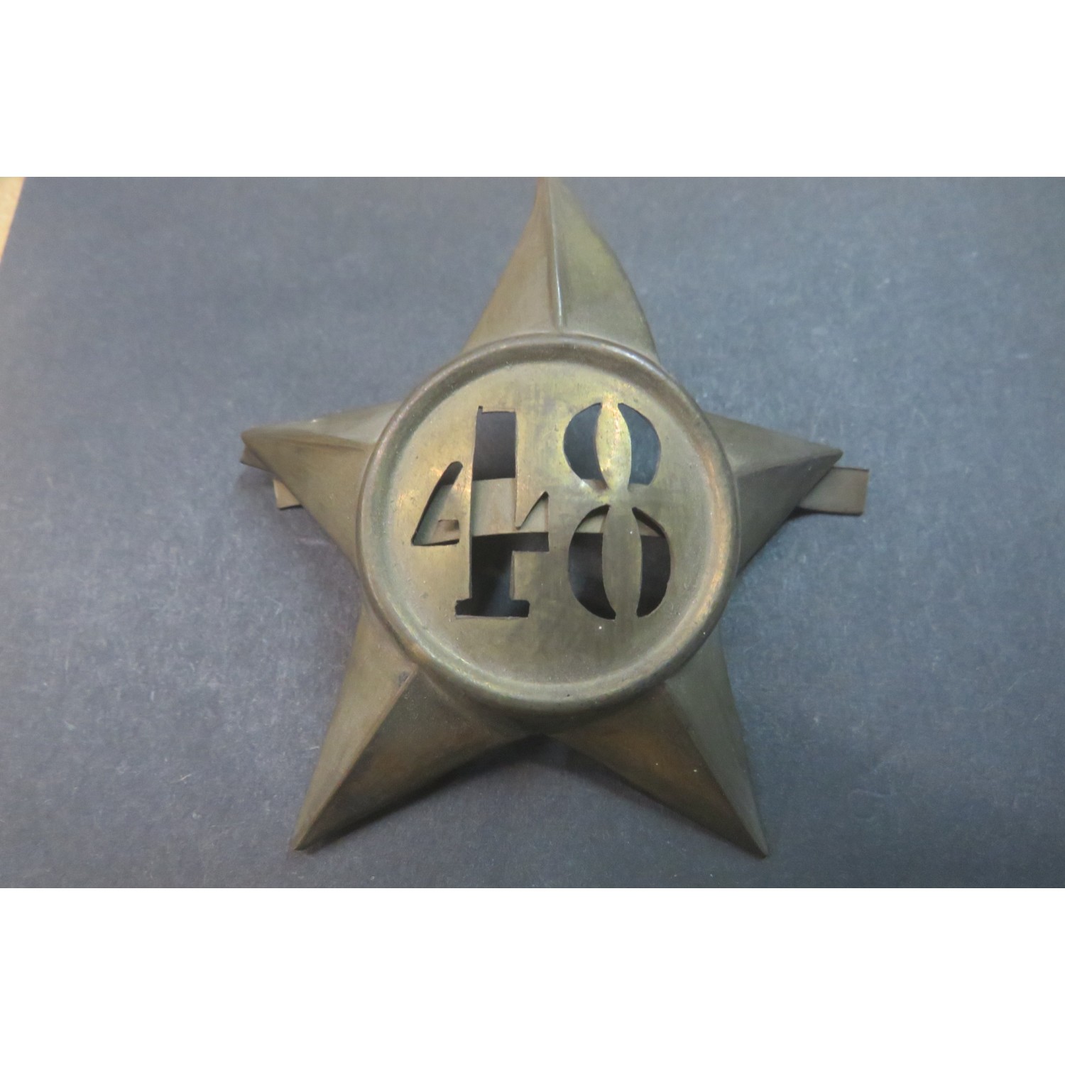 Fregio per Kepi da ufficiale 48° Rgt Milizia Territoriale