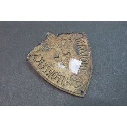 Troop arm shield 2nd Division Infantry "SFORZESCA"