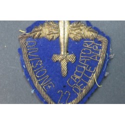 Arm shield from officer 22nd Div.ne Infantry Hunters of the Alps