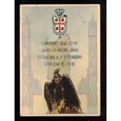 Cartolina XIII Corpo d Armata , viaggiata