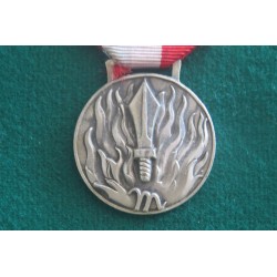 Medal "For Merit in Service" Italian National Fire Brigade Corps