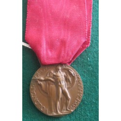 Medaglia in bronzo Volontario di Guerra 1915/1918 inc. Morbiducci