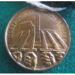 Medaglia in bronzo 6a Divisione CCNN TEVERE "Molti Nemici Molto Onore"