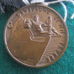 Medaglia in bronzo 6a Divisione CCNN TEVERE "Molti Nemici Molto Onore"